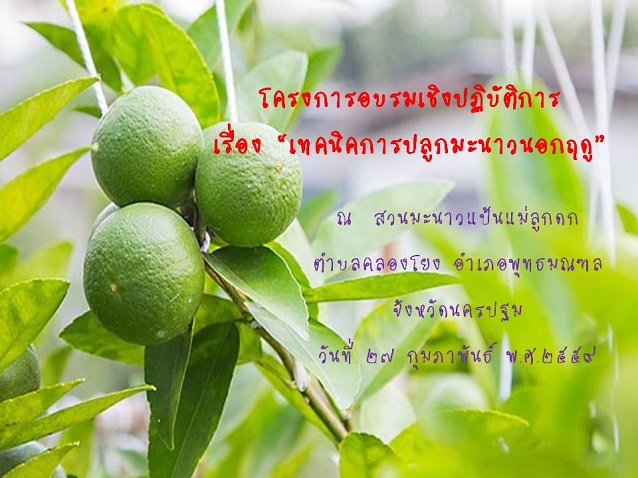 โครงการอบรมเชิงปฏิบัติการ เรื่อง เทคนิคการปลูกมะนาวนอกฤดู